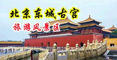 乌克兰处女摘花中国北京-东城古宫旅游风景区